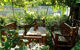 Guest House Metreveli